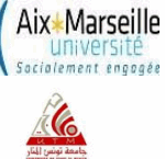 Capture d'écran 2025-11-02 205931