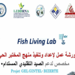 Capture d'écran 2025-11-03 212911