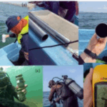 Capture d'écran 2025-11-03 215332