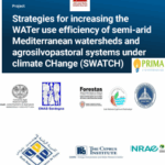 Capture d'écran 2025-11-10 215155