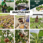 Capture d'écran 2025-11-10 215240