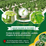 Capture d'écran 2025-11-10 215252