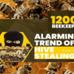 Capture d'écran 2025-11-10 215304