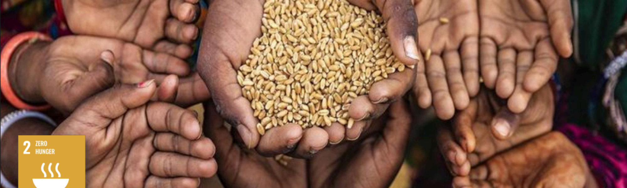 Capture d'écran 2025-11-04 194722