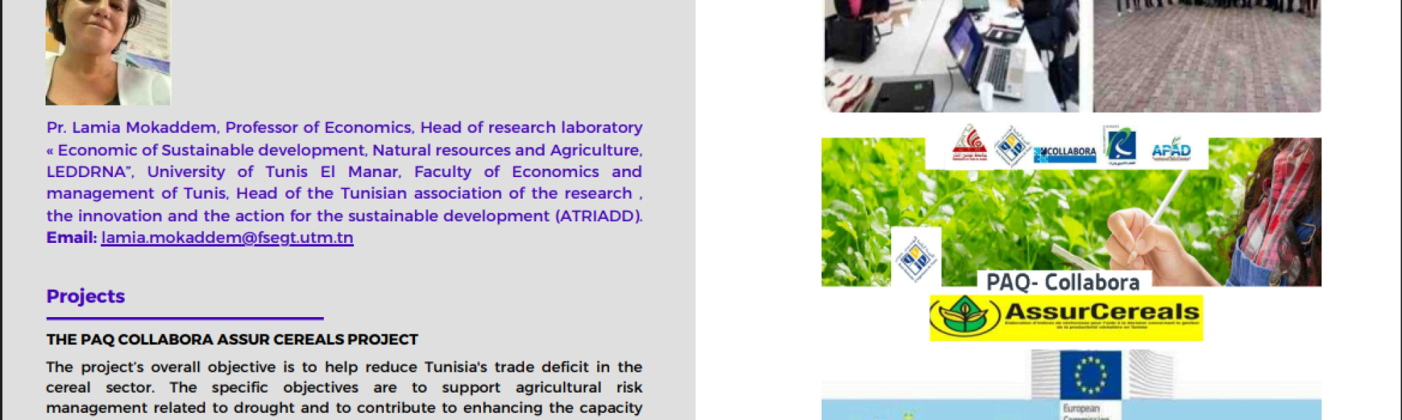 Capture d'écran 2025-11-04 194729