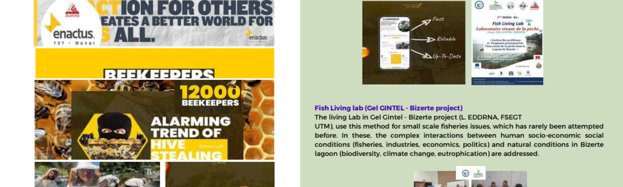 Capture d'écran 2025-11-04 194802