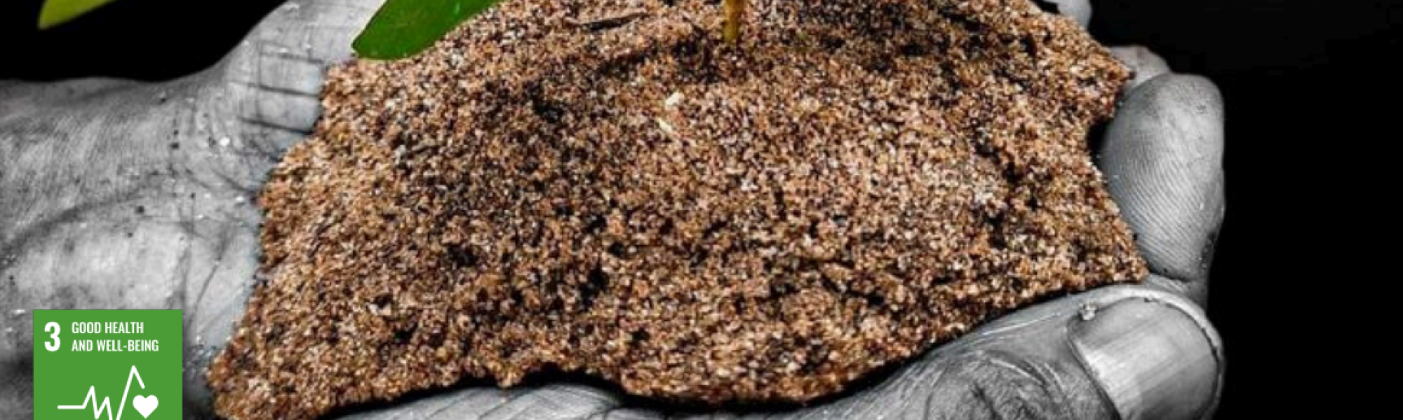 Capture d'écran 2025-11-04 195501