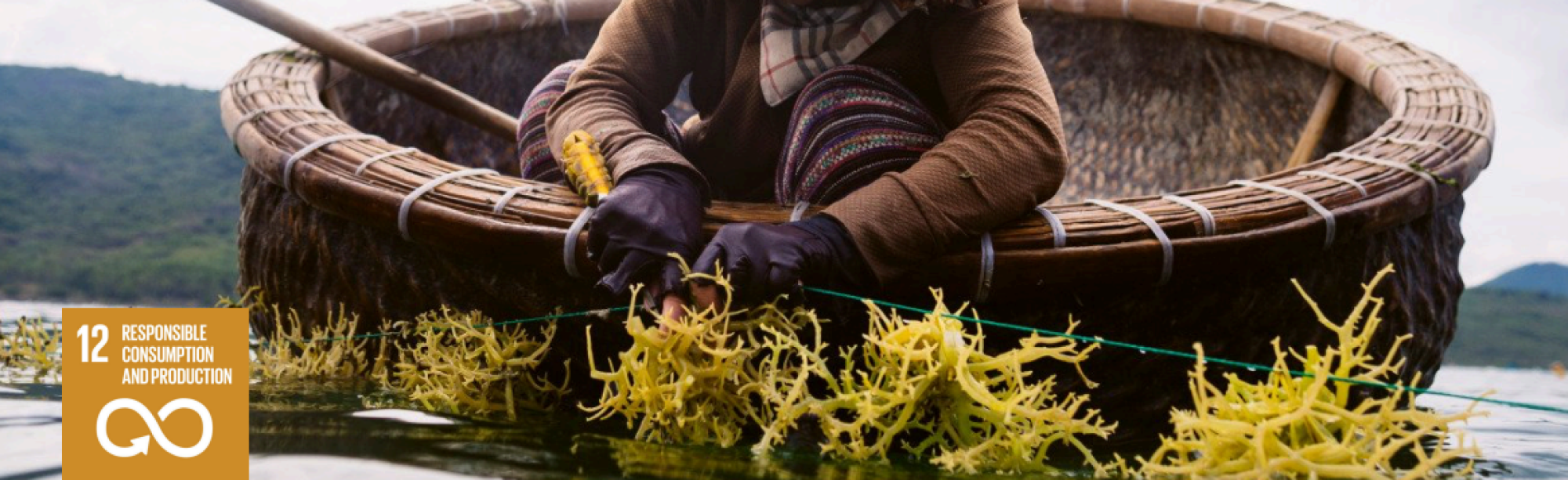 Capture d'écran 2025-11-04 213128