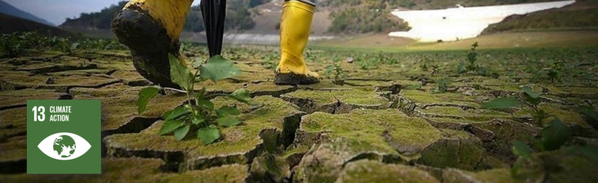 Capture d'écran 2025-11-04 213235