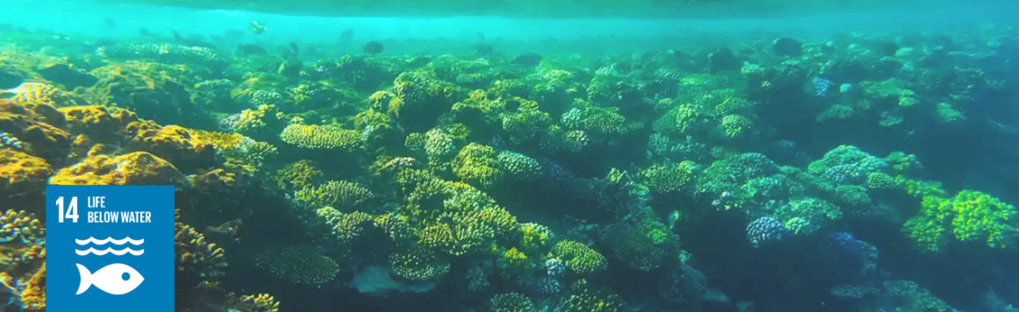 Capture d'écran 2025-11-04 223217