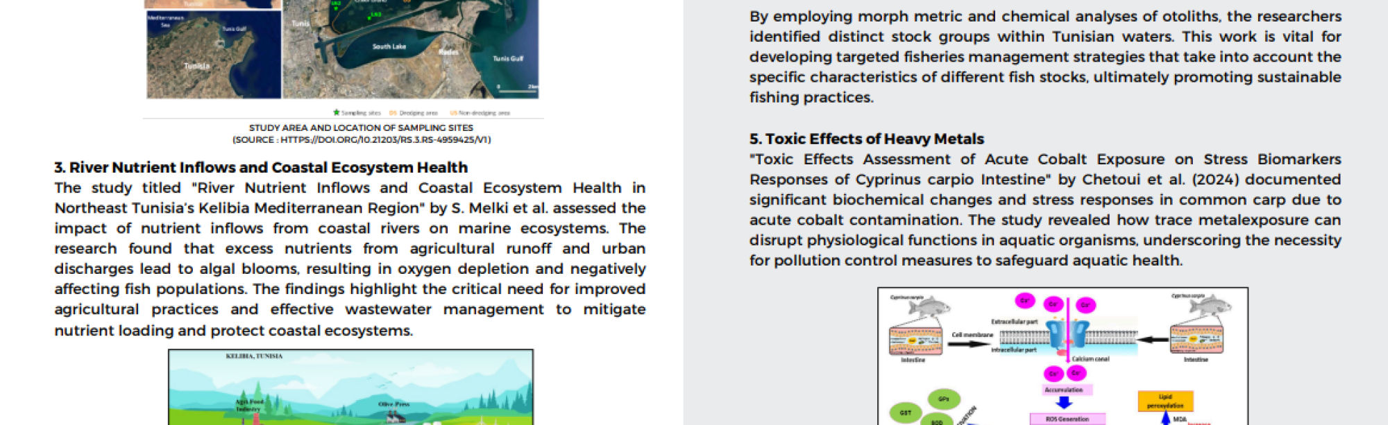 Capture d'écran 2025-11-04 224224