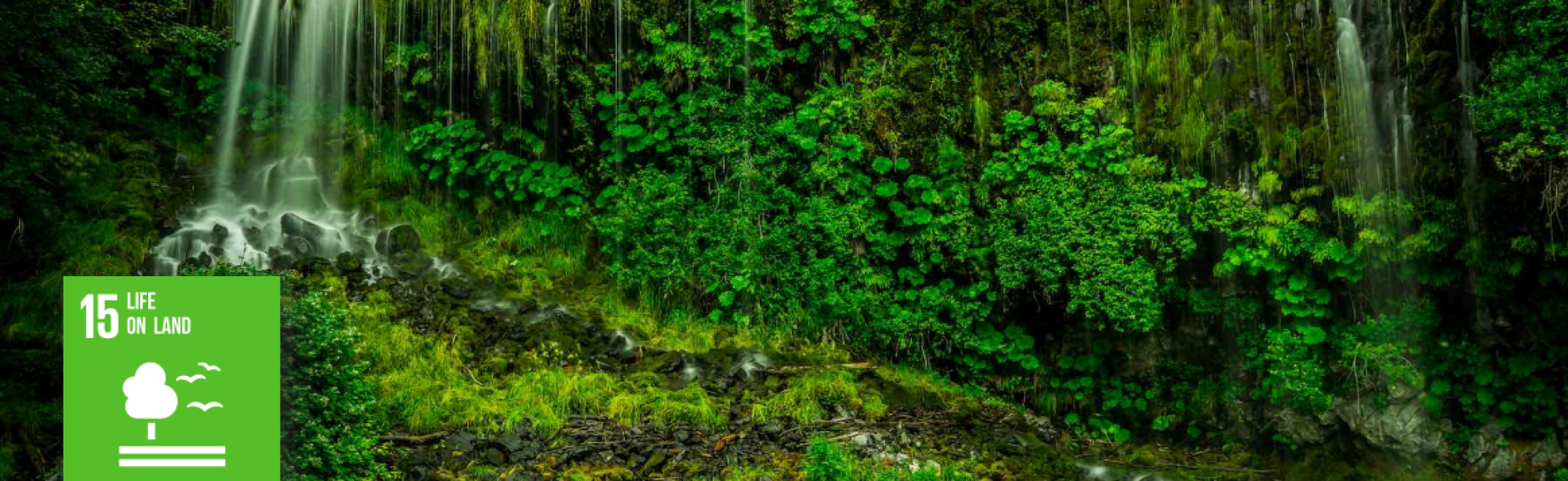 Capture d'écran 2025-11-04 224239