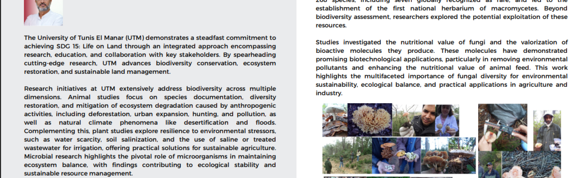 Capture d'écran 2025-11-04 224249