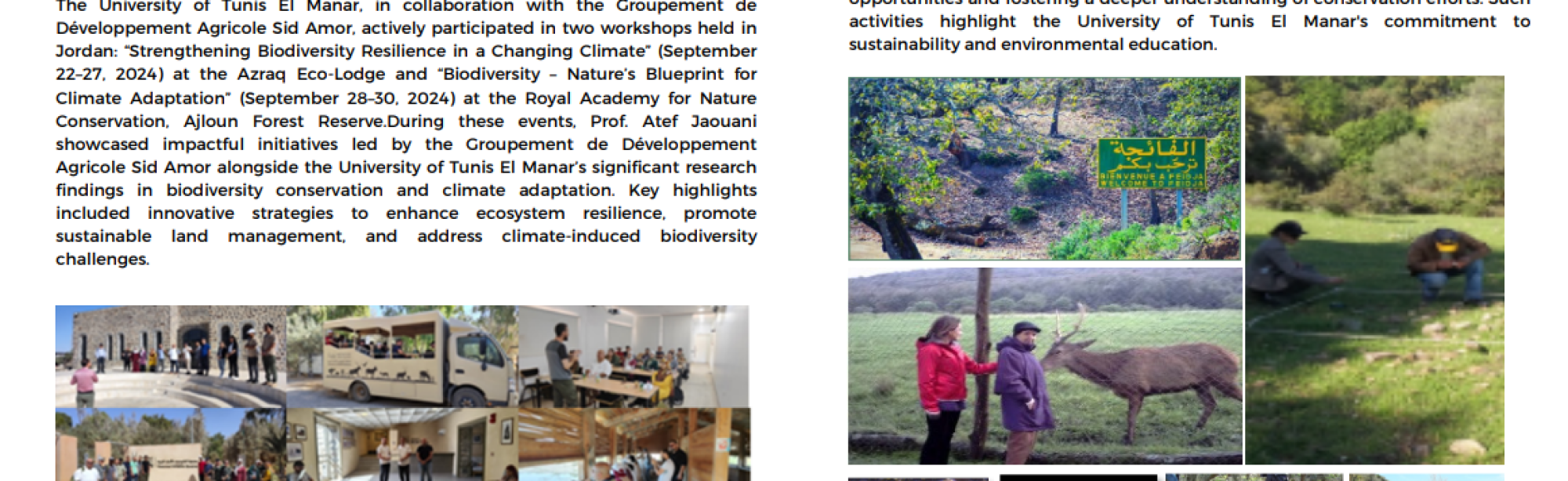 Capture d'écran 2025-11-04 224258