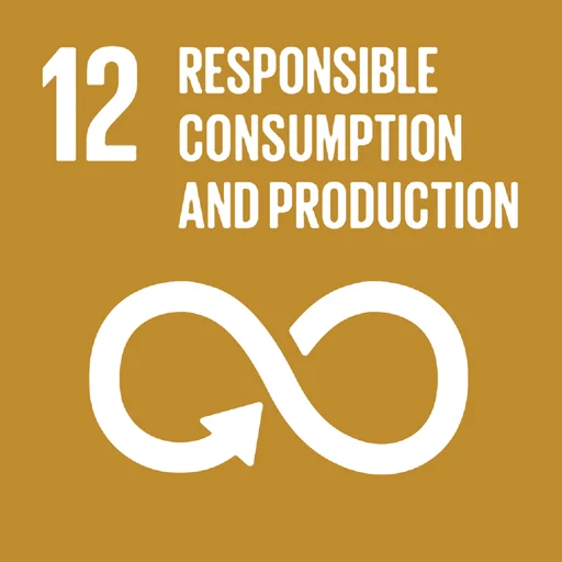 Sustainable Development Goal 12: Responsible Consumption and Production