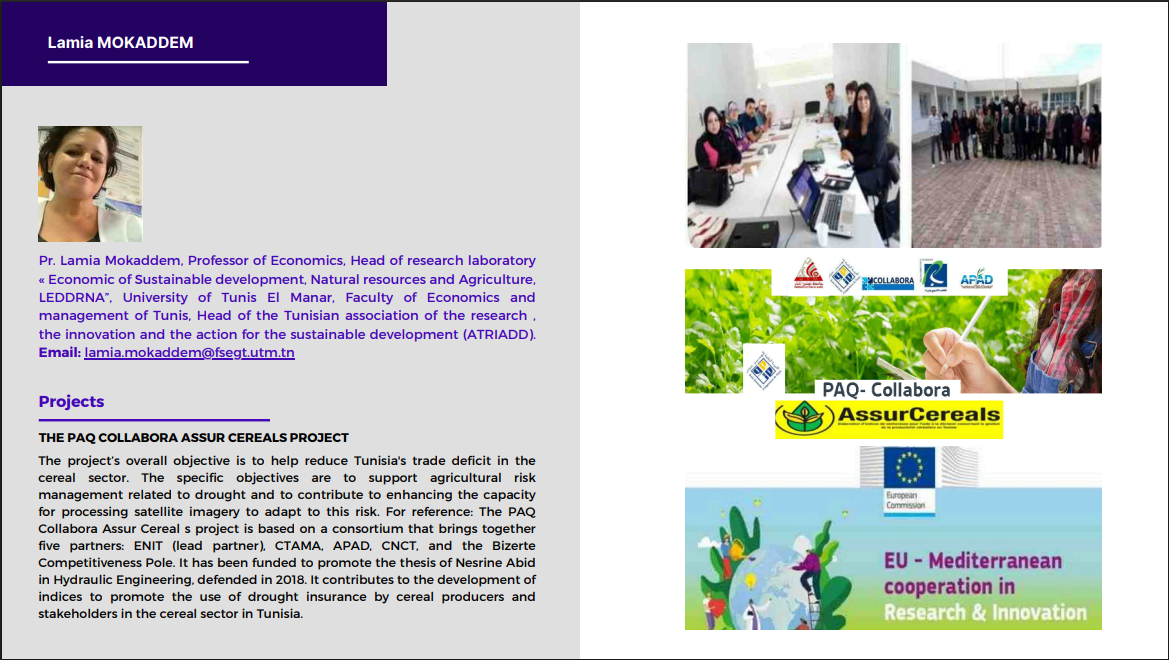 Capture d'écran 2025-11-04 194729