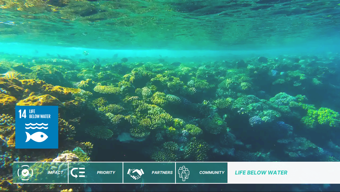 Capture d'écran 2025-11-04 223217