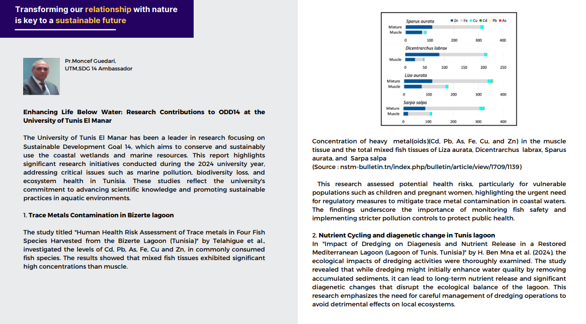 Capture d'écran 2025-11-04 224216