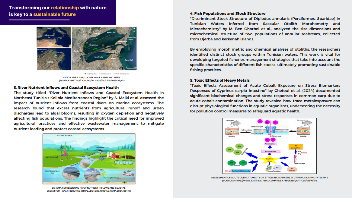Capture d'écran 2025-11-04 224224