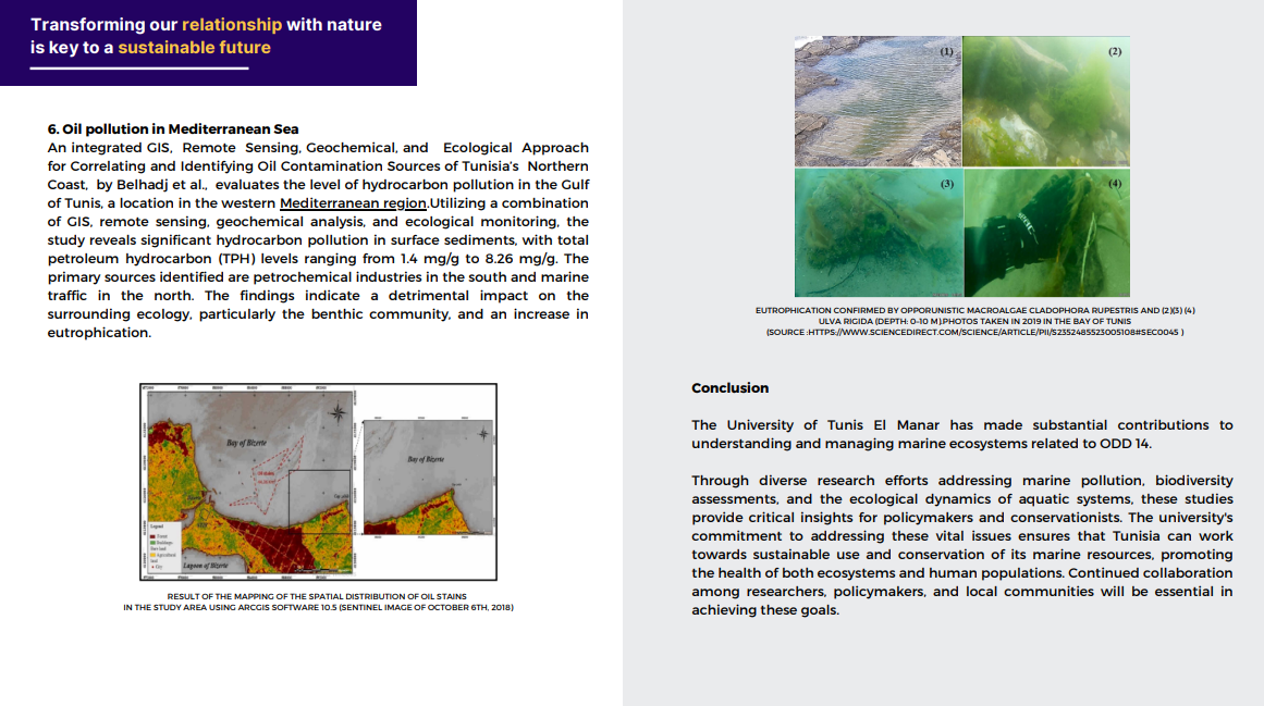 Capture d'écran 2025-11-04 224231