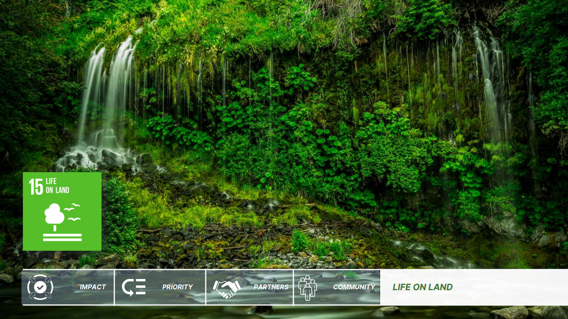 Capture d'écran 2025-11-04 224239