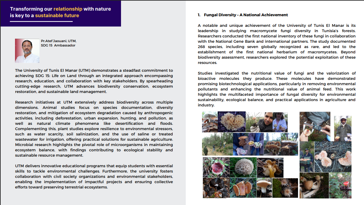 Capture d'écran 2025-11-04 224249