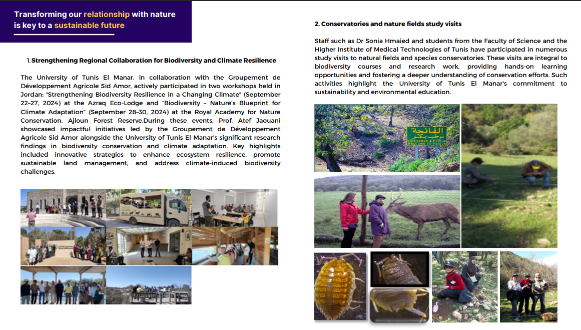 Capture d'écran 2025-11-04 224258