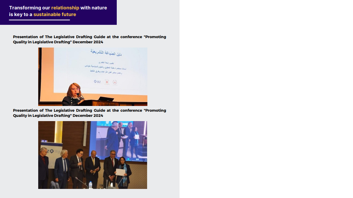 Capture d'écran 2025-11-04 224419